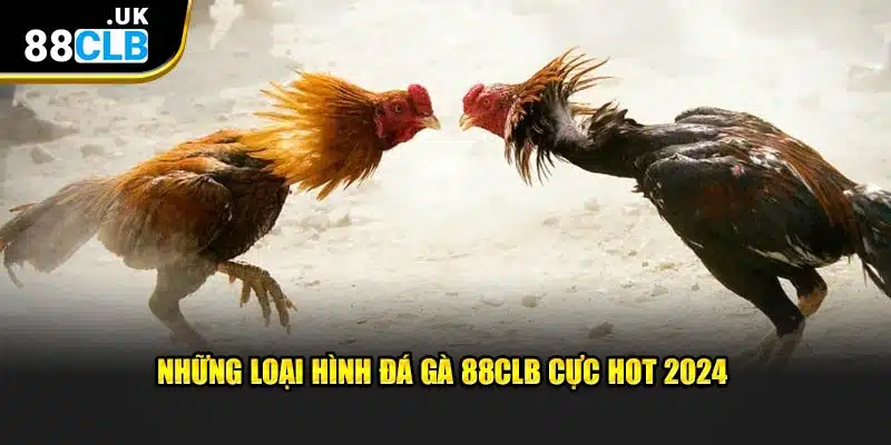 Những loại hình đá gà 88CLB cực hot 2024